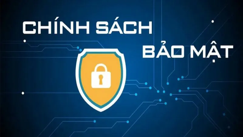 Trách nhiệm của hội viên trong chính sách bảo mật Mksport