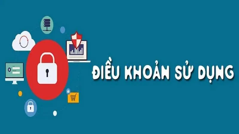 Trách nhiệm của hội viên đối với điều khoản sử dụng Mksport